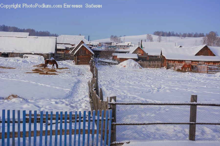 Fence, Building, Hut, Shelter, Ice, Outdoors, Snow