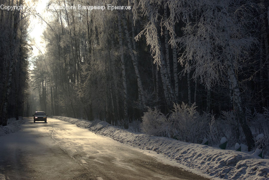 Dirt Road, Gravel, Road, Frost, Ice, Outdoors, Snow