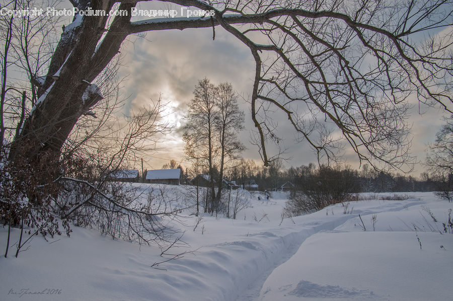 Arctic, Snow, Winter, Landscape, Nature, Scenery