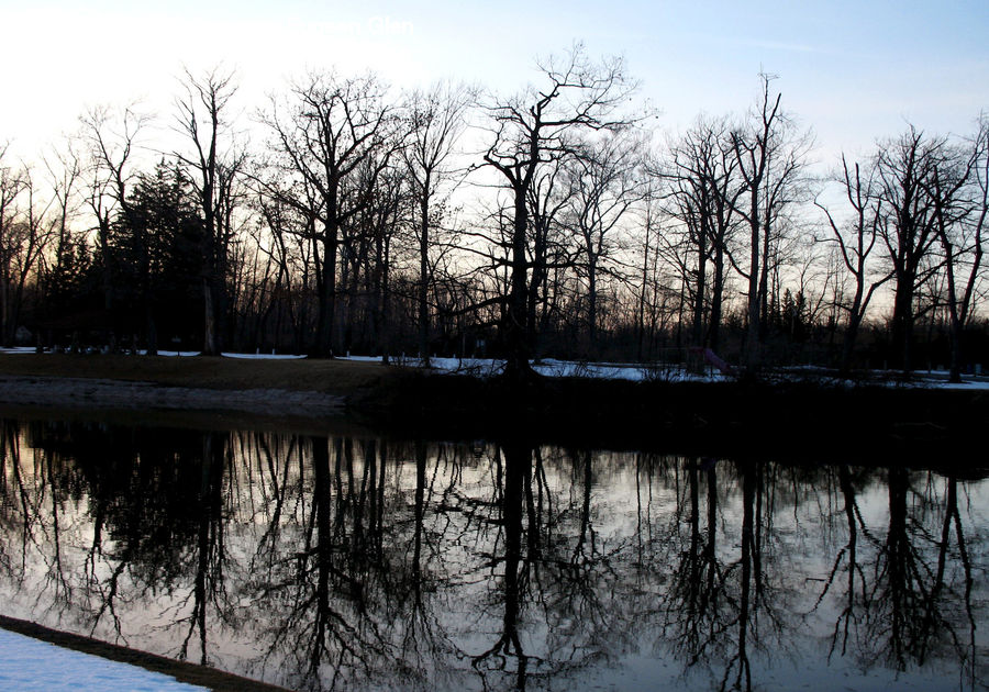 Outdoors, Pond, Water, Plant, Tree, Forest, Vegetation