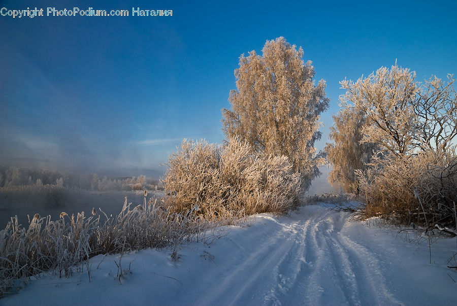 Frost, Ice, Outdoors, Snow, Landscape, Nature, Scenery