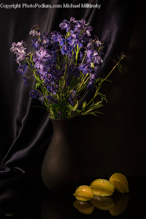Blossom, Flora, Flower, Geranium, Plant, Violet, Lilac