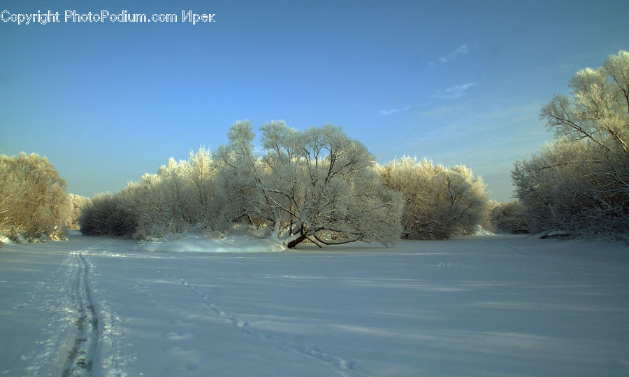 Frost, Ice, Outdoors, Snow, Landscape, Nature, Scenery