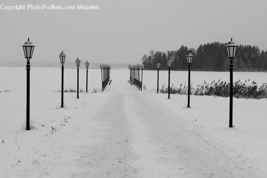 Ice, Outdoors, Snow, Plant, Tree, Road, Sand