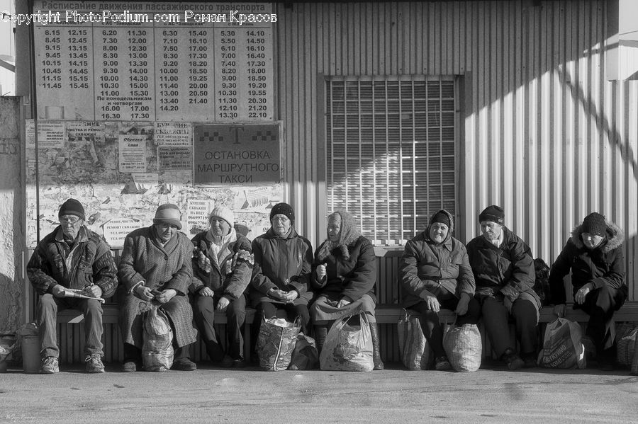 Human, People, Person, Reading, Bench, Crowd, Performer