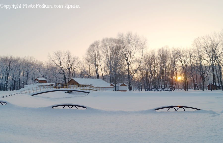 Ice, Outdoors, Snow, Plant, Tree, Landscape, Nature