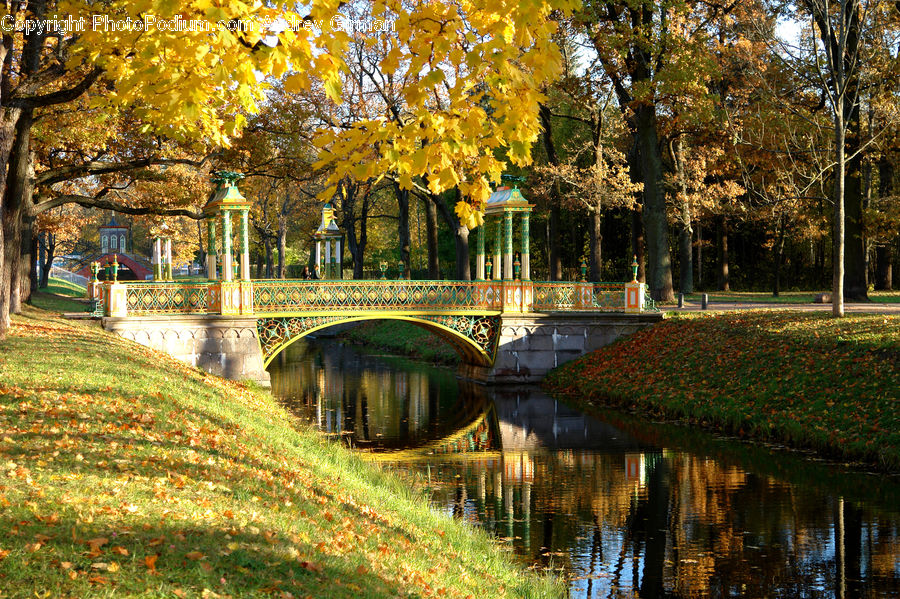 Bridge, Canal, Outdoors, River, Water, Park, Pond