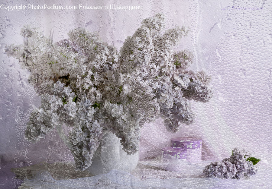 Blossom, Flower, Lilac, Plant, Ice, Outdoors, Snow