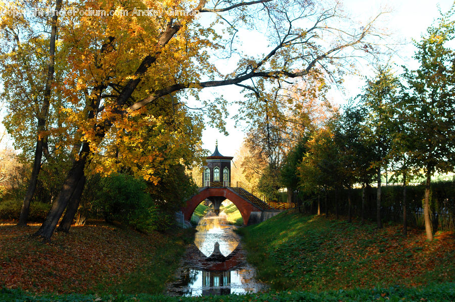 Canal, Outdoors, River, Water, Oak, Tree, Wood