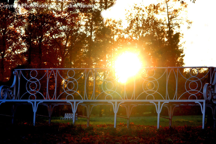 Gazebo, Flare, Light, Chair, Furniture, Arch, Arched