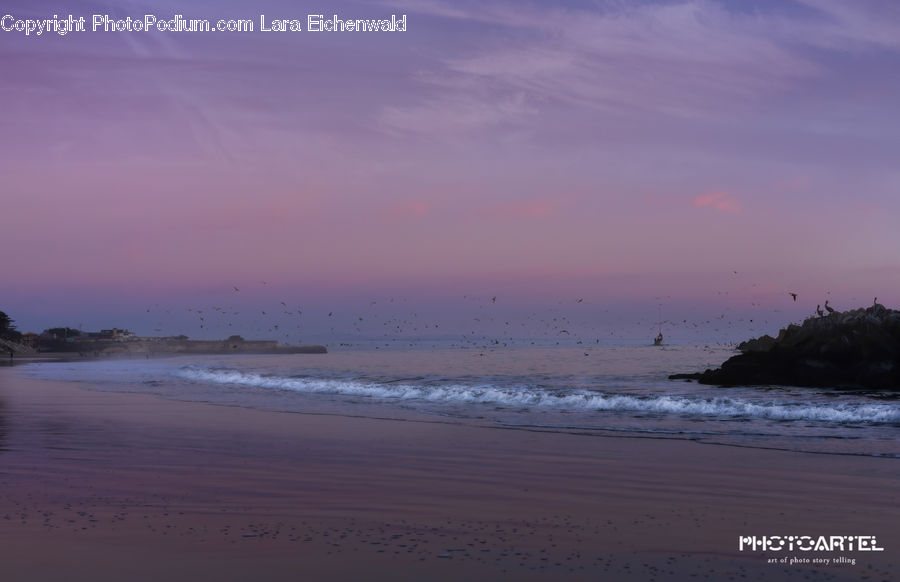 Beach, Coast, Outdoors, Sea, Water, Dawn, Dusk