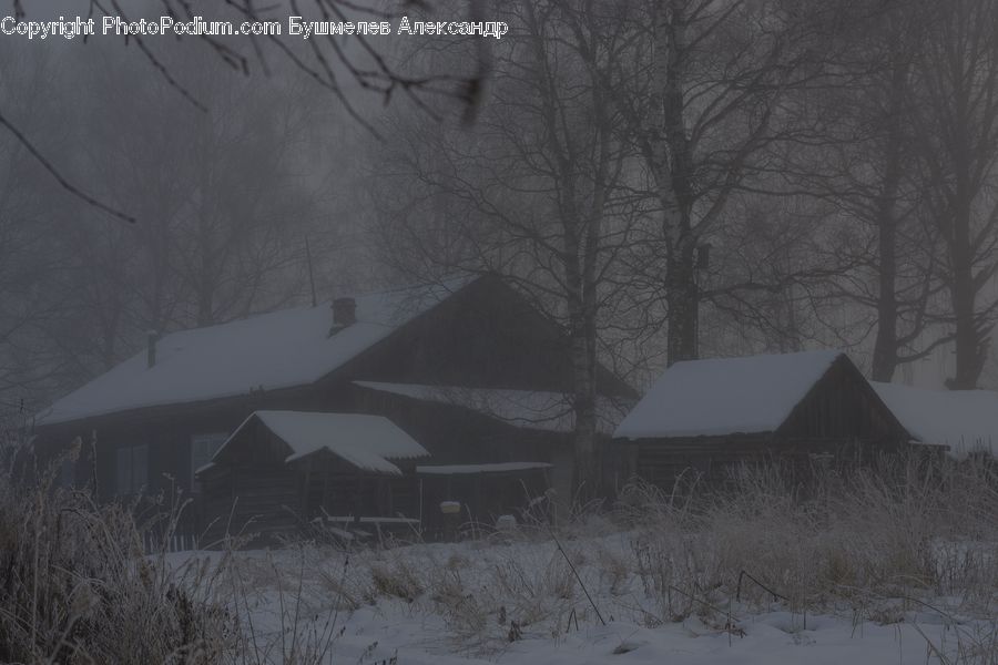 Cabin, Hut, Rural, Shack, Shelter, Tent