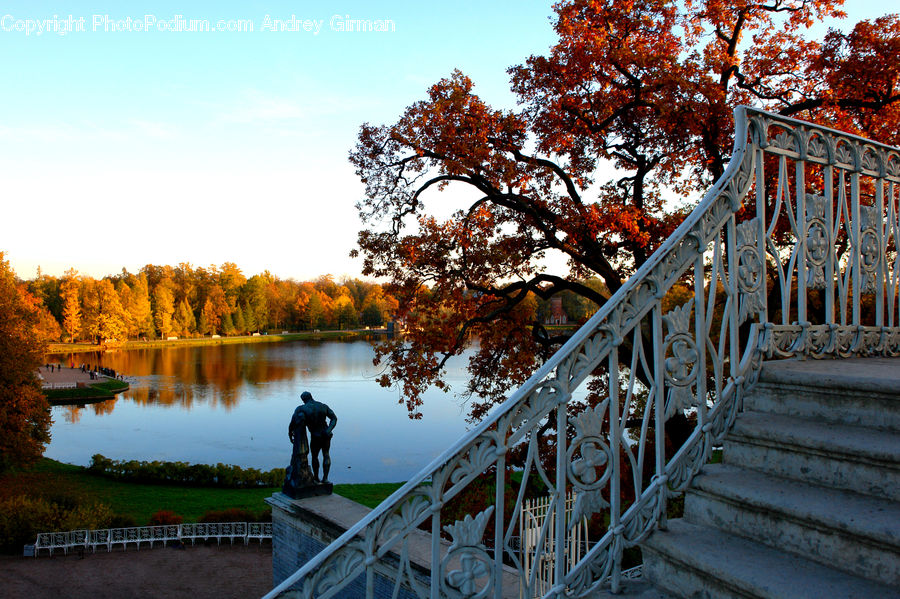 Boardwalk, Deck, Path, Sidewalk, Walkway, Banister, Handrail