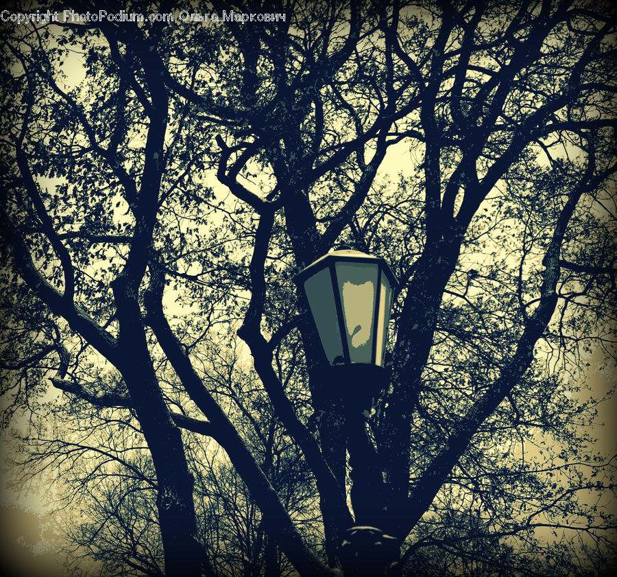 Lamp Post, Pole, Plant, Tree