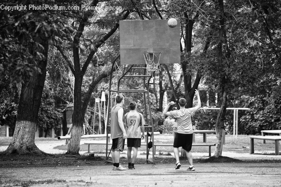 Human, People, Person, Park, Playground, Shorts, Bench