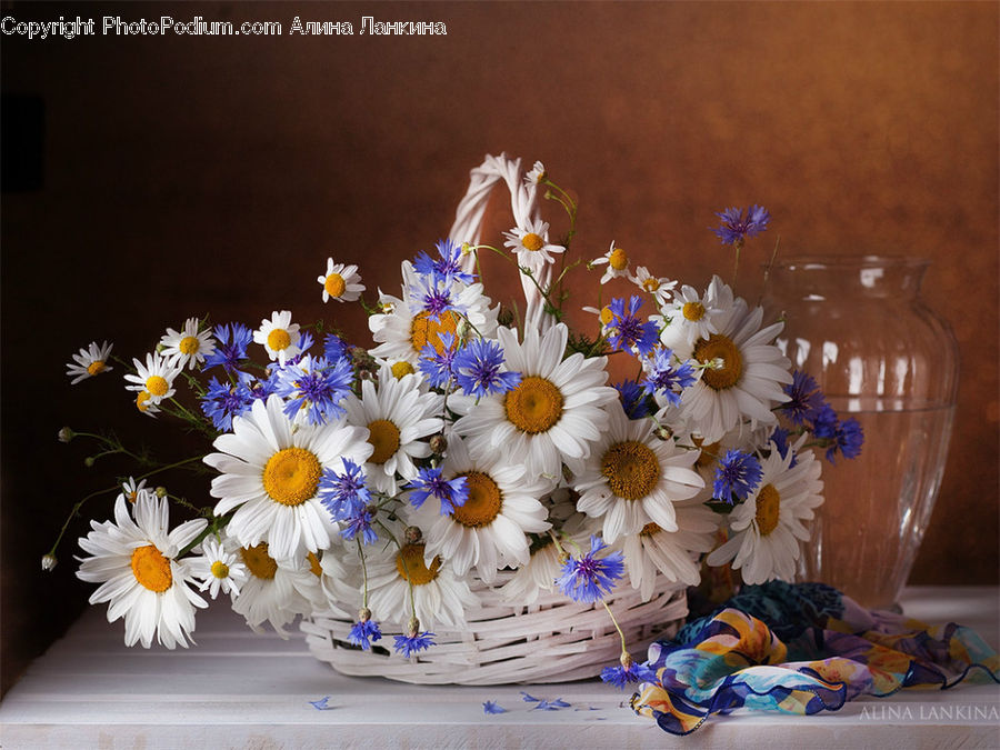 Flower, Flower Arrangement, Flower Bouquet, Floral Design, Ikebana, Birthday Cake, Cake