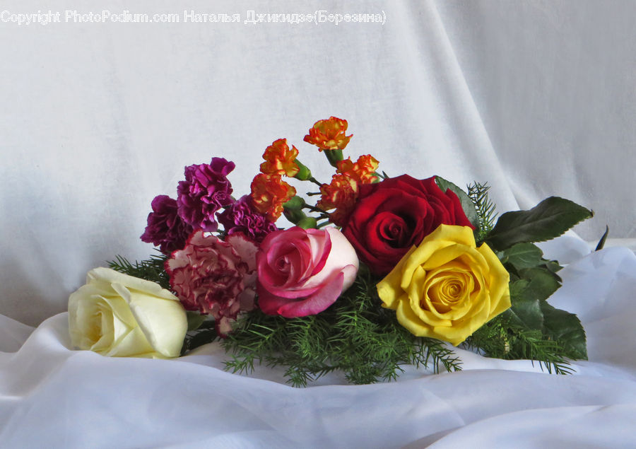 Flower, Flower Arrangement, Flower Bouquet, Blossom, Plant, Rose, Peony