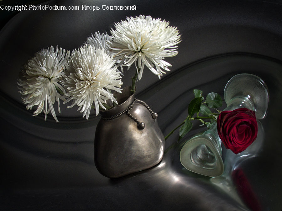 Plant, Potted Plant, Glass, Blossom, Flower, Rose, Accessories