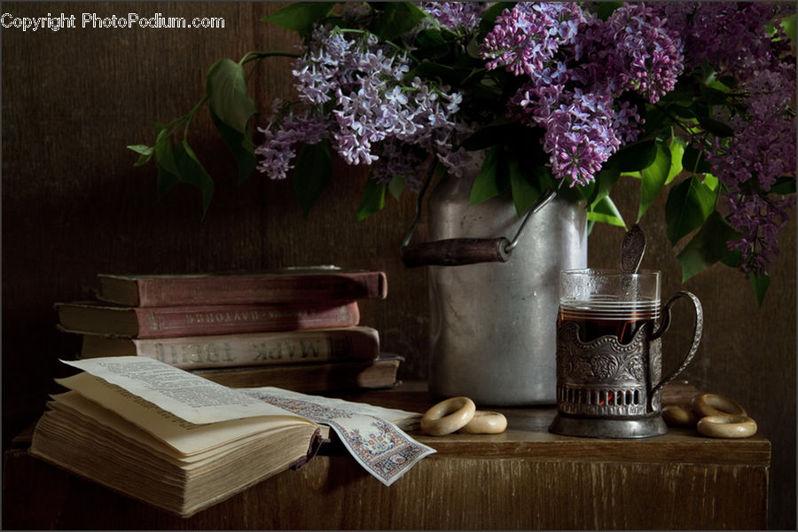 Book, Text, Plant, Potted Plant, Cup, Jug, Stein