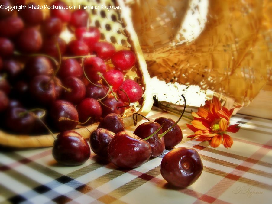 Cherry, Fruit, Apple, Grapes, Plum, Food