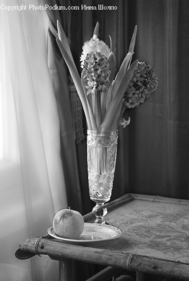 Jar, Porcelain, Vase, Blossom, Flora, Flower, Plant