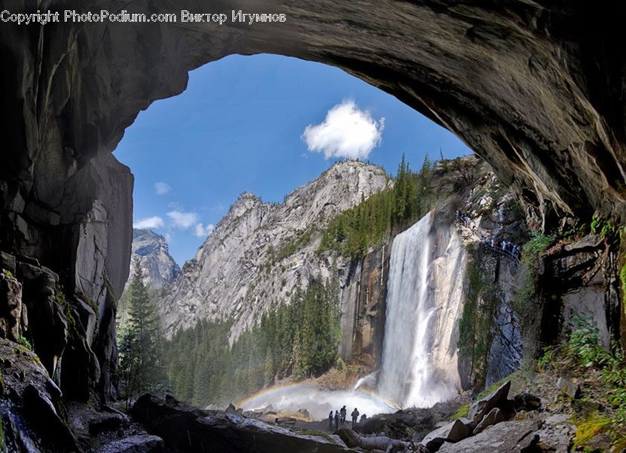Cave, Rock, Forest, Jungle, Rainforest, Vegetation, Hole