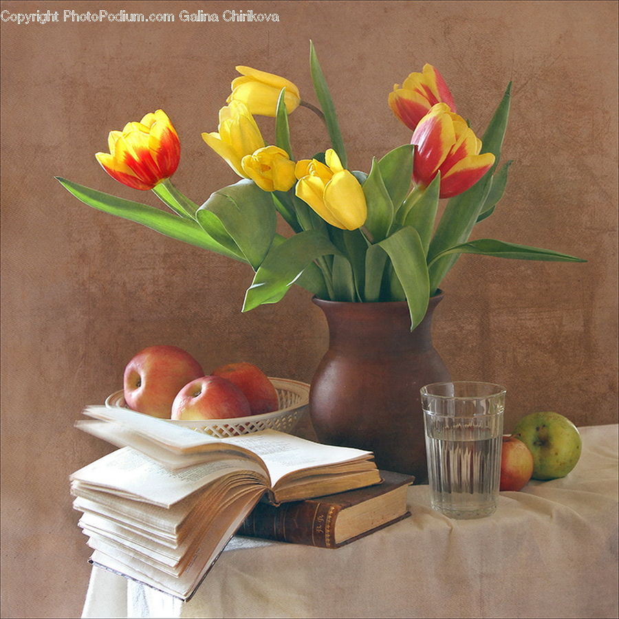 Book, Text, Glass, Goblet, Blossom, Daffodil, Flora