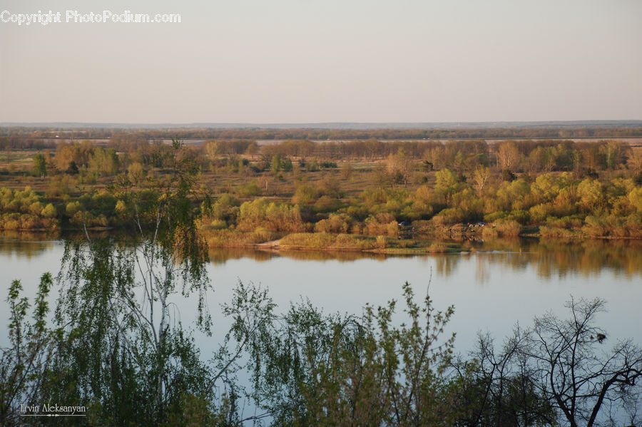 Land, Marsh, Outdoors, Swamp, Water, Nature, Plant