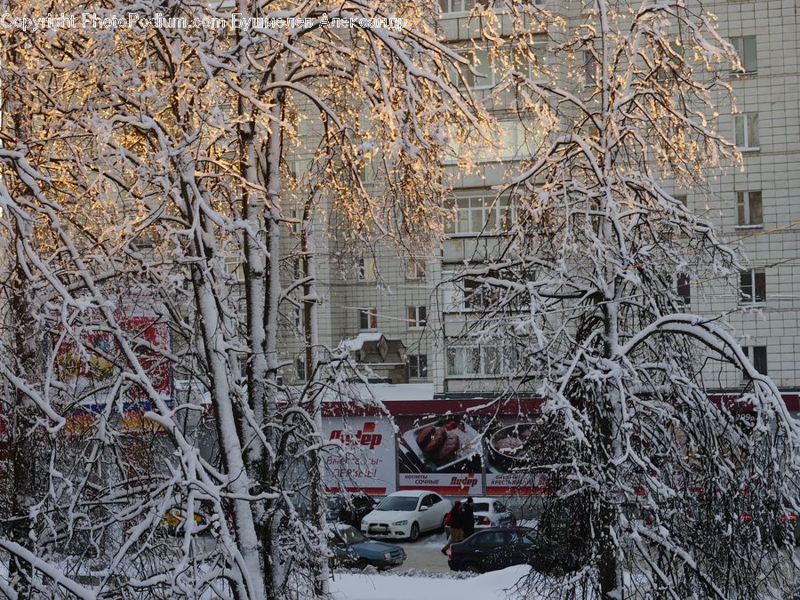 Blizzard, Outdoors, Snow, Weather, Winter, Ice, Automobile