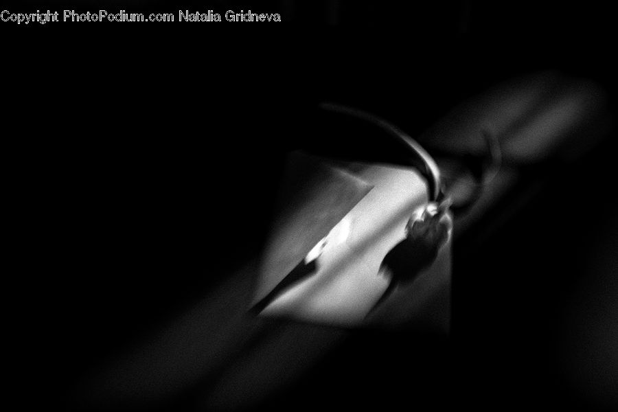 LED, Lighting, Spotlight, Person, Portrait