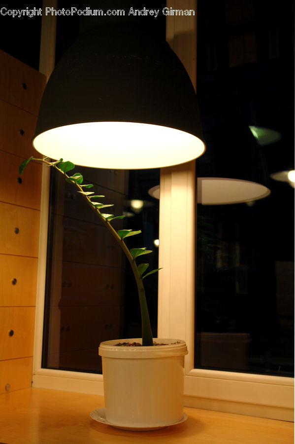 Lamp, Indoors, Interior Design, Room, Coffee Table, Furniture, Table