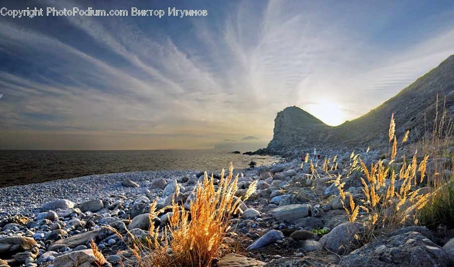 Coast, Outdoors, Sea, Water, Rock, Landscape, Nature