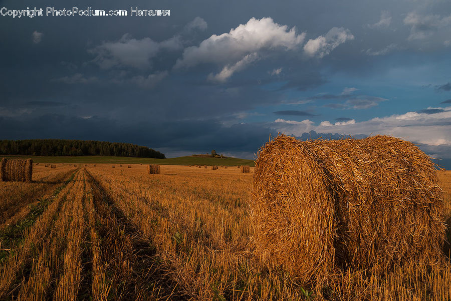 Countryside, Hay, Straw, Grain, Wheat, Field, Grass