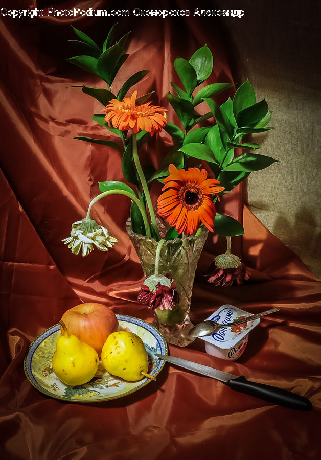Plant, Potted Plant, Flower, Flower Arrangement, Flower Bouquet, Glass, Goblet