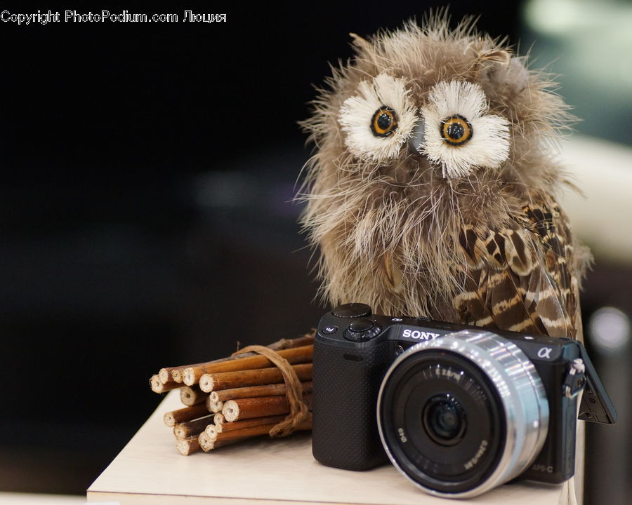 Camera, Electronics, Food