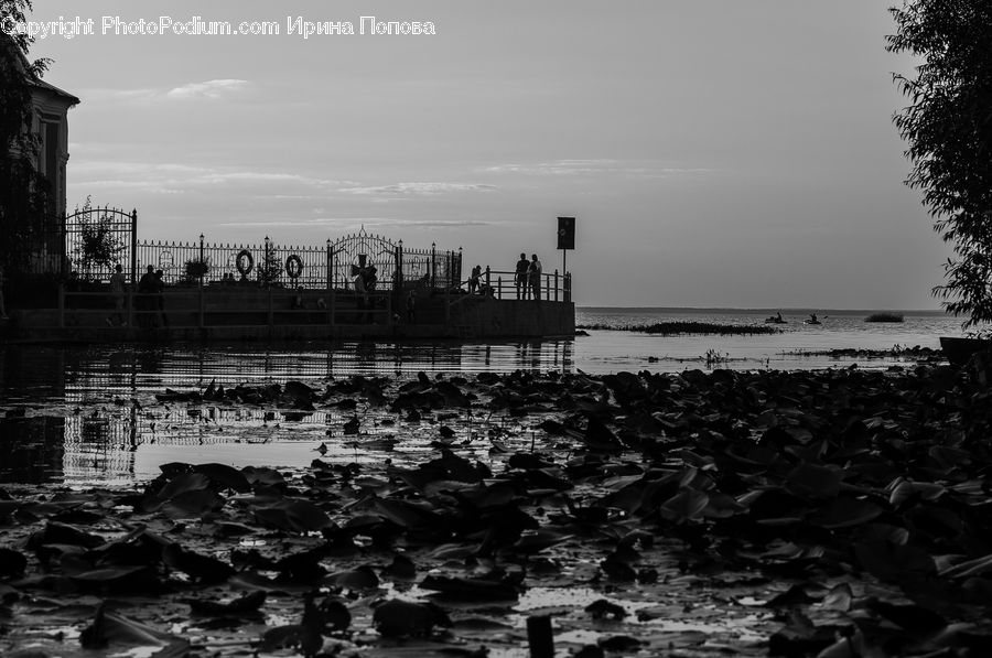 Factory, Refinery, Dock, Landing, Pier, Crowd, Coast