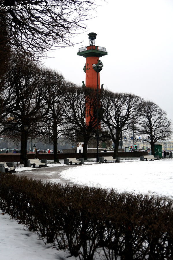 Beacon, Building, Lighthouse, Water Tower, Architecture, Tower, Plant