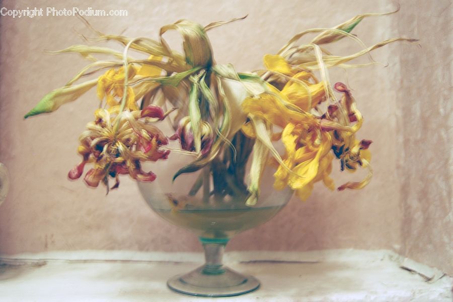 Glass, Goblet, Cup, Floral Design, Flower, Flower Arrangement, Flower Bouquet