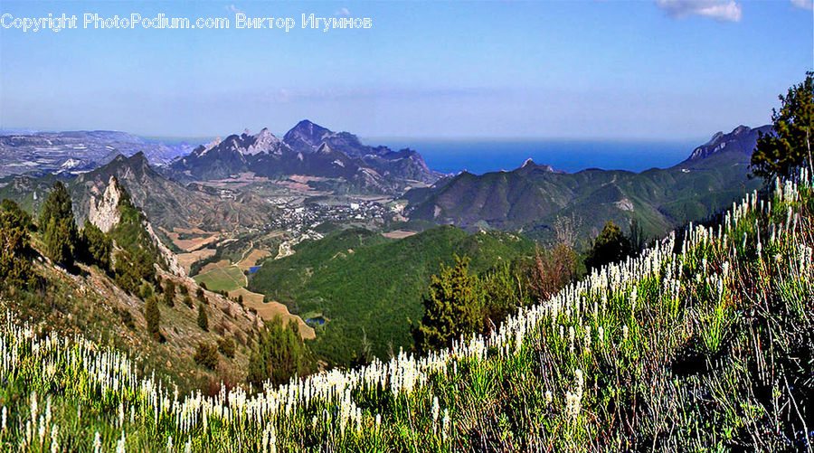 Crest, Mountain, Outdoors, Peak, Mountain Range, Conifer, Fir