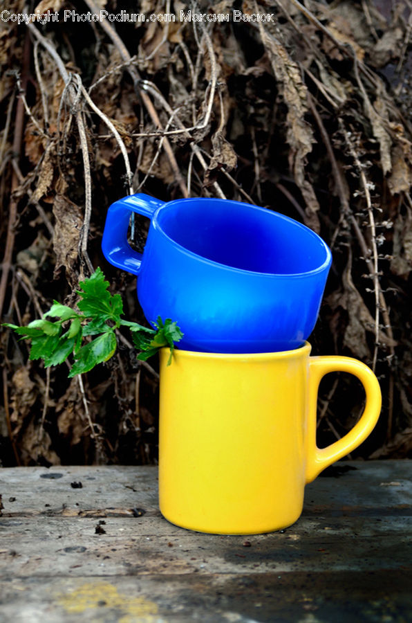 Pot, Pottery, Coffee Cup, Cup, Bucket, Soil