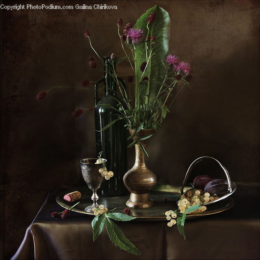 Glass, Goblet, Plant, Potted Plant, Jar, Porcelain, Vase