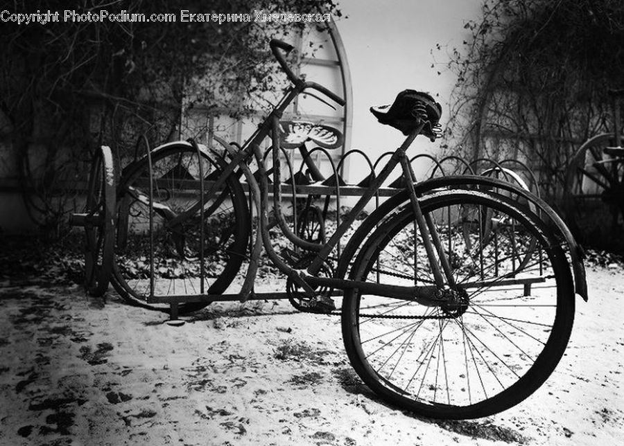 Bicycle, Bike, Vehicle