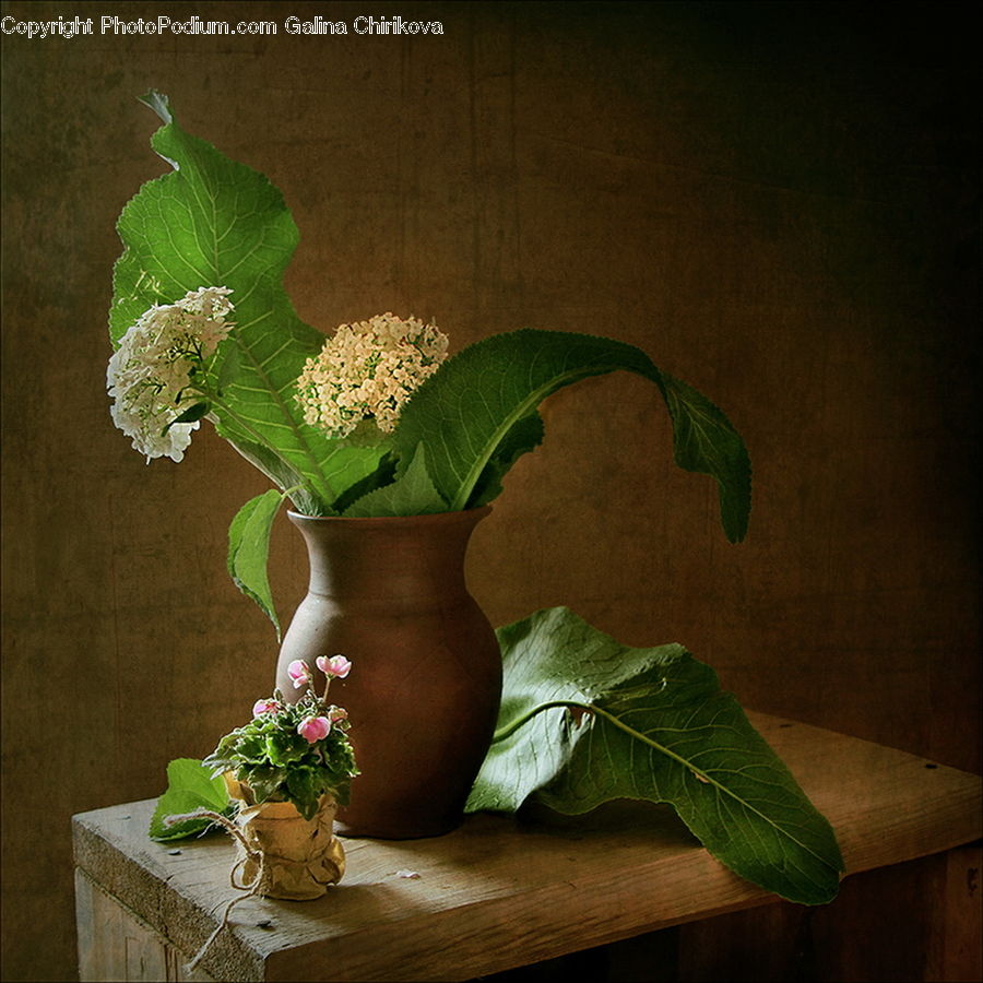 Flower Arrangement, Ikebana, Plant, Potted Plant, Vase, Flower, Flower Bouquet