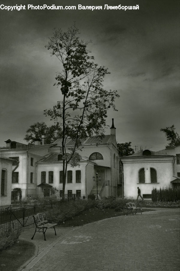 Building, Housing, Villa, Outdoors, Storm, Weather, Plant