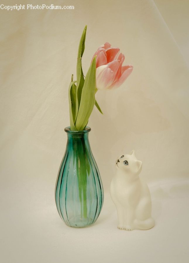 Jar, Porcelain, Vase, Figurine, Blossom, Flora, Flower
