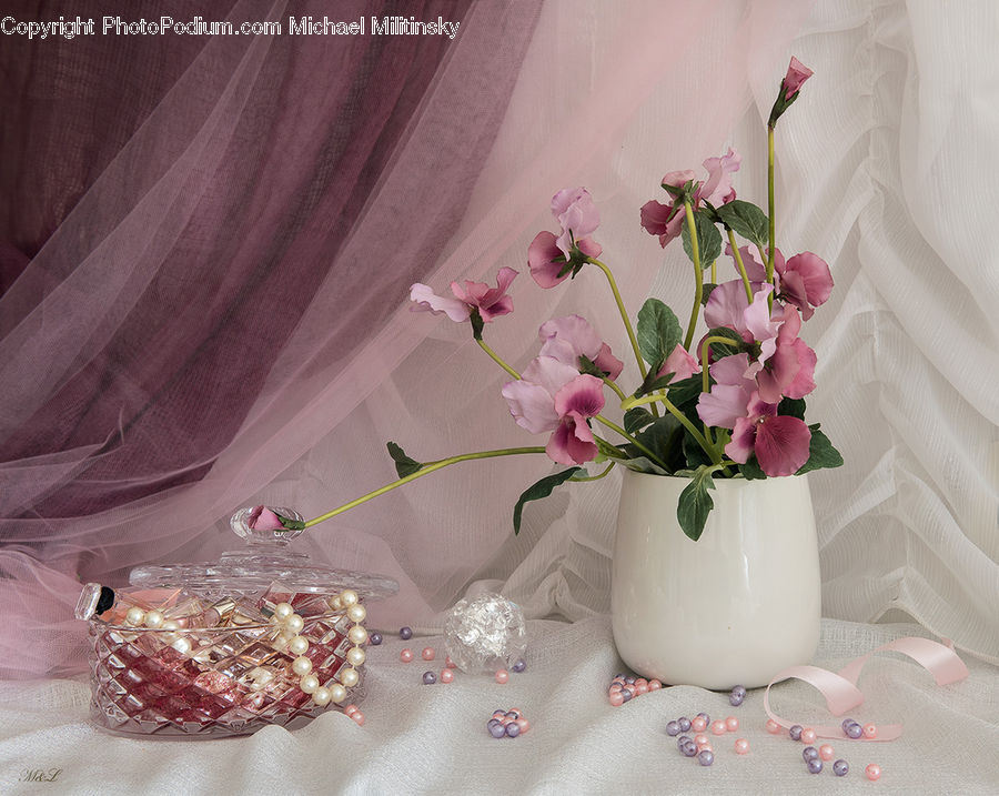Plant, Potted Plant, Blossom, Flower, Peony, Floral Design, Flower Arrangement