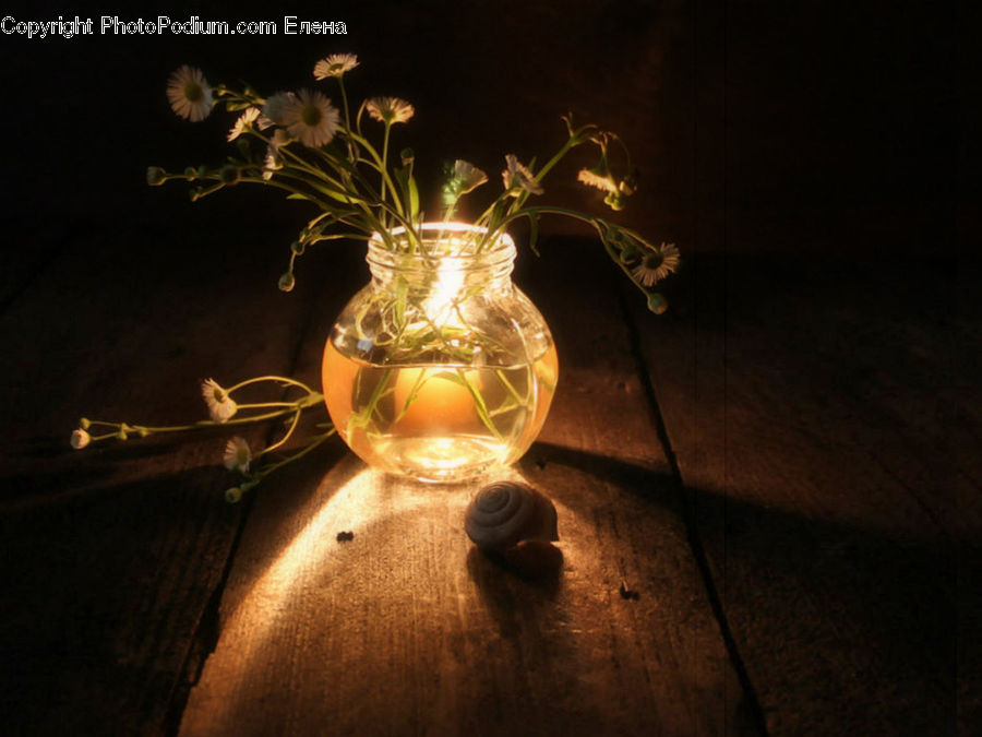 Jar, Porcelain, Vase, Glass, Goblet, Plant, Potted Plant