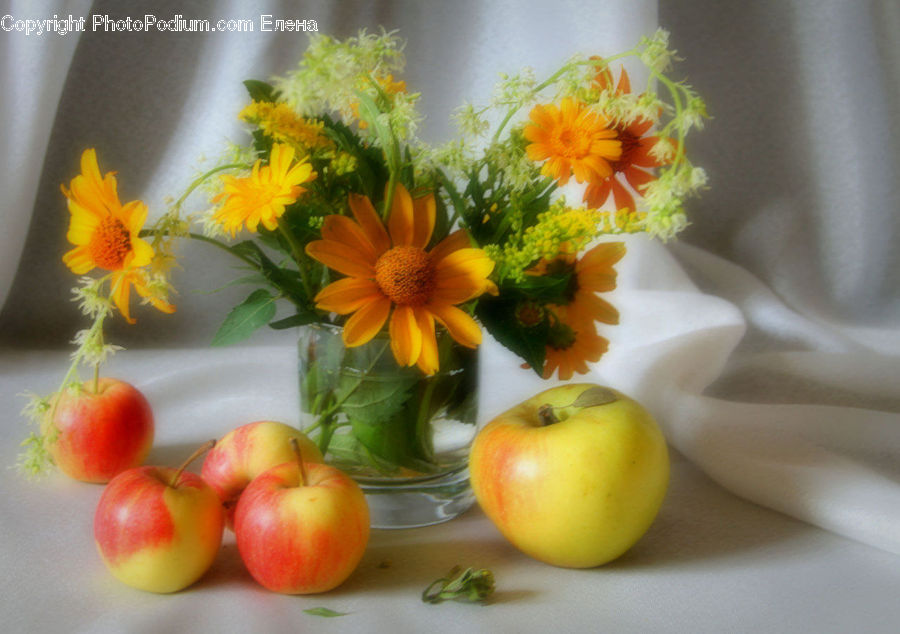 Citrus Fruit, Fruit, Grapefruit, Flower, Flower Arrangement, Flower Bouquet, Squash