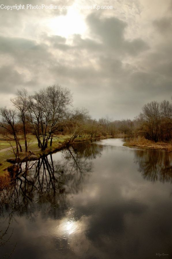 Flood, Land, Marsh, Pond, Swamp, Water