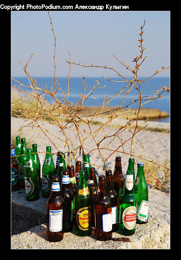 Alcohol, Beer, Beer Bottle, Beverage, Bottle, Drink, Wine